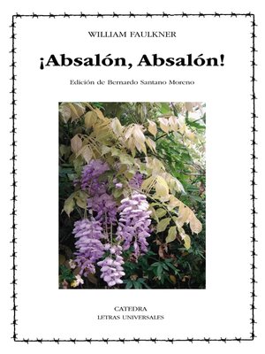 cover image of ¡Absalón, Absalón!